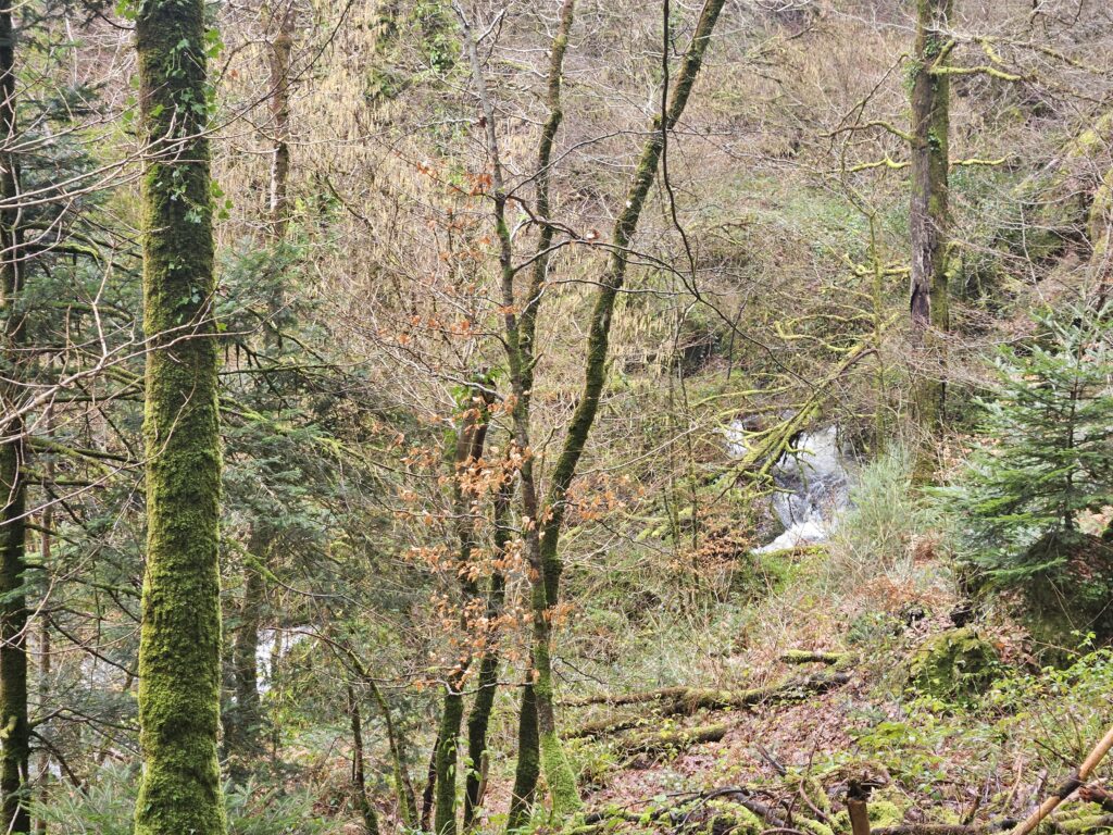 Forêt d'Huelgoat, Finistère, Bretagne