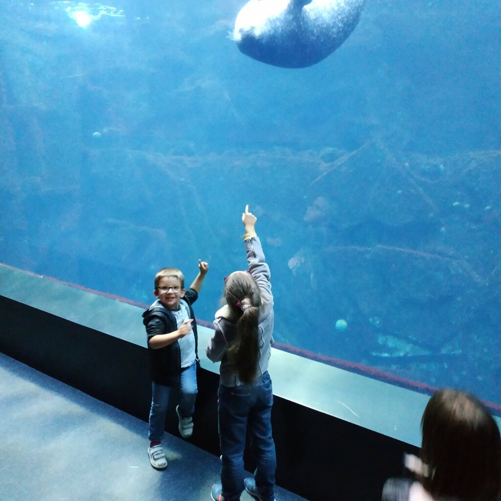 Océanopolis, Brest, Finistère, Bretagne