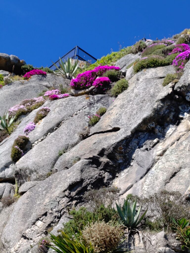 Jardin botanique, Roscoff, Finistère, Bretagne